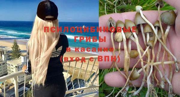 бутират Алексин