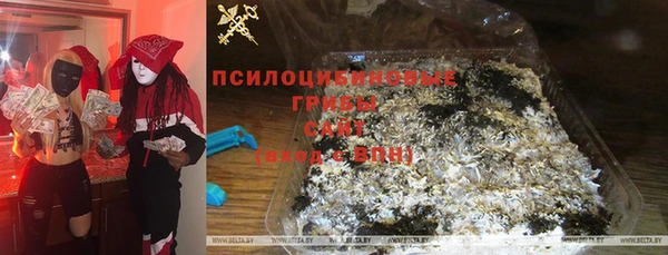 бутират Алексин