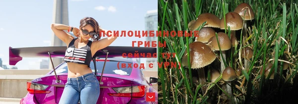 PSILOCYBIN Алексеевка