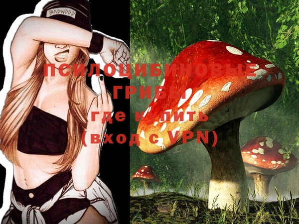 PSILOCYBIN Алексеевка