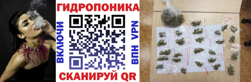 площадка какой сайт Цивильск Бошки марихуана Ganja